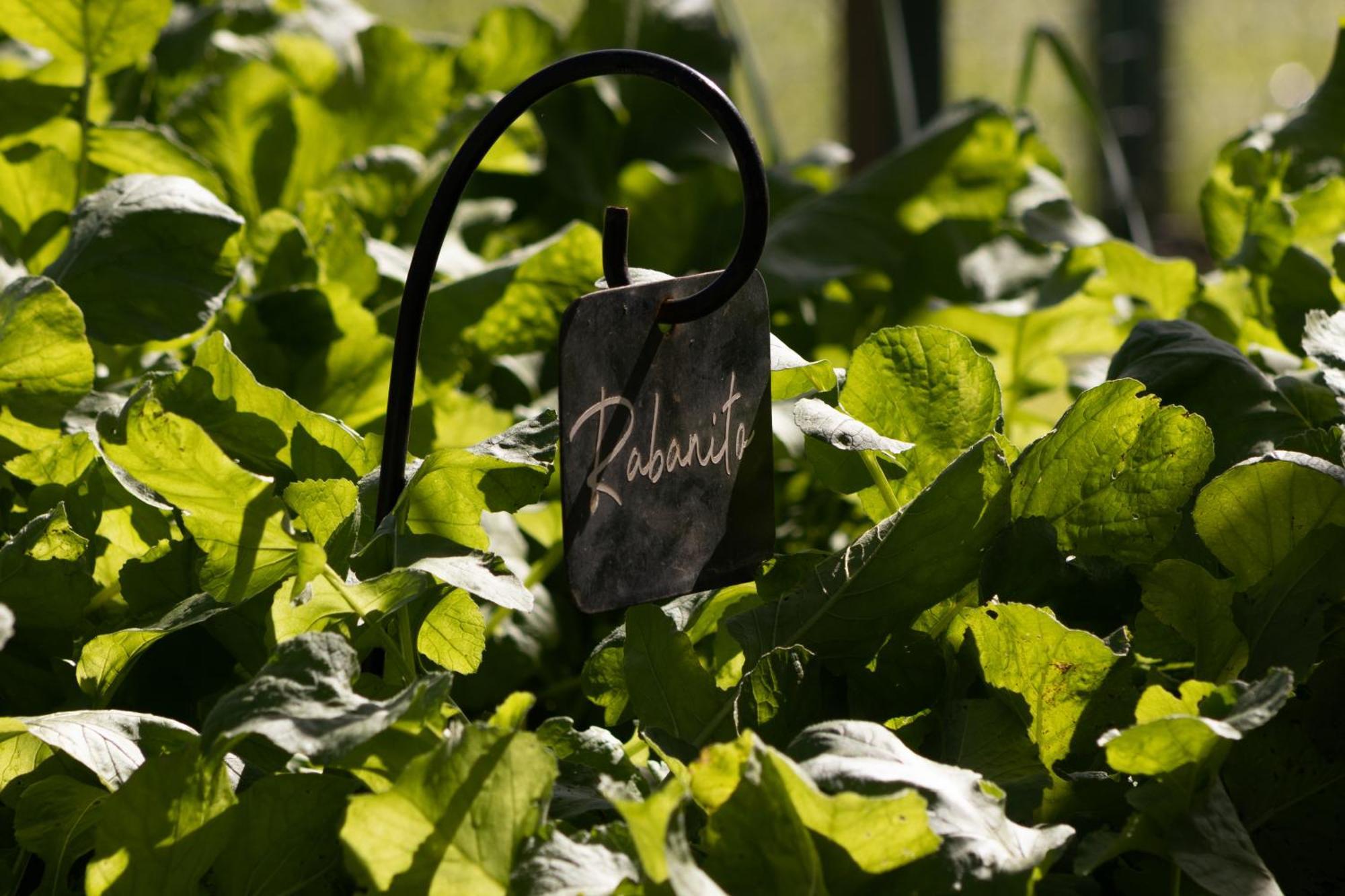 El Colibri - Relais & Chateaux Santa Catalina  Luaran gambar